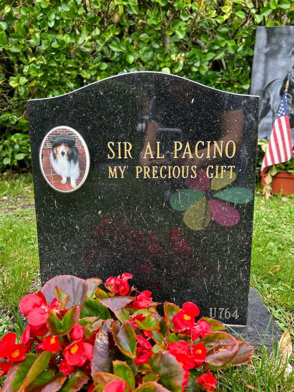 RIP, SIR Al Pacino