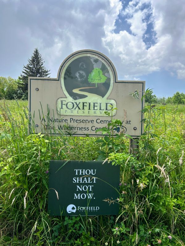 Hands-On with FoxField!